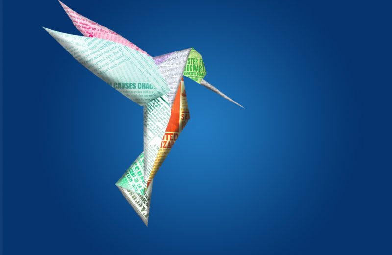 colibri-couleur